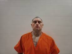 No mugshot available