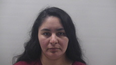 Mugshot of CORTEZ ALEIDA