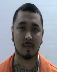 Mugshot of GUEVARA ROGELIO