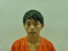 Mugshot of MEJIA ALVAREZ VAIRON HAZAEL