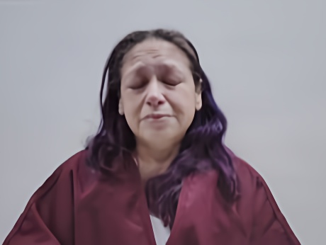 Mugshot of PERALTA VERONICA MORALES