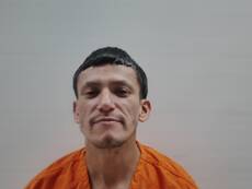 Mugshot of ALANIS MARIO ALBERTO