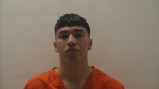 Mugshot of Jimenez AJ Alesio