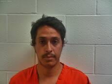 Mugshot of FLORES GARCIA LUIS ENRIQUE