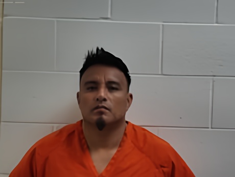 Mugshot of PEREZ IRVING ALEXANDER