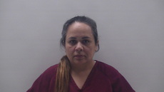 Mugshot of SIMS GINA MERCEDES