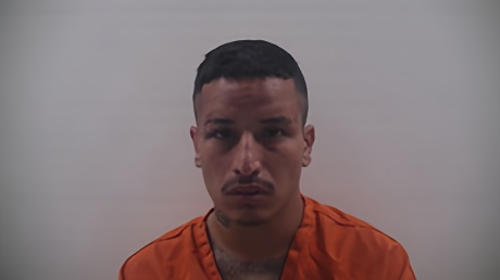Mugshot of MARTINEZ LUIS DONALDO
