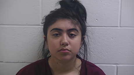 Mugshot of PENA MELITZA