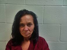 Mugshot of PARRISH SHANI