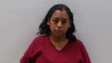 Mugshot of IBARRA PICAZO BRENDA LEE
