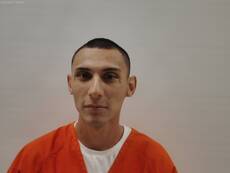 Mugshot of MCKINNON WILLIAM
