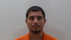 Mugshot of CASTILLO JAVIER