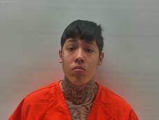 Mugshot of GONZALEZ MARCO ANTONIO
