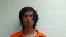 Mugshot of LU JOSHUA