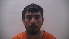 Mugshot of Loya David