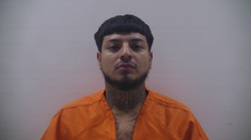 Mugshot of FLORES GILBERT