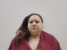 Mugshot of ARRIAGA AYALA ANNA LILIA