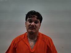 Mugshot of Miranda Carlos Houston