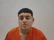 Mugshot of MARTINEZ SERGIO HERIBERTO