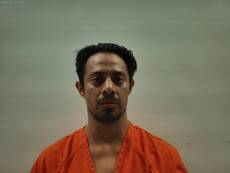 Mugshot of GUZMAN VIRGINIO