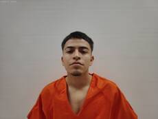 Mugshot of LUJAN DILHAN
