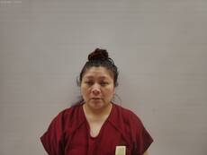 Mugshot of ANIMAS JASSO NERY YEREDIA