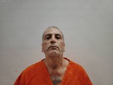 Mugshot of MARTINEZ GUZMAN ALFREDO