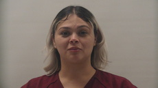 Mugshot of DE LOS REYES JULIESVY