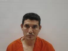 Mugshot of GONZALEZ FELISARDO