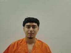 Mugshot of CASTRO JAVIER