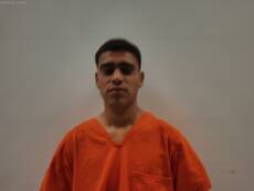 Mugshot of NAVA MATA BRYAN