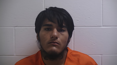 Mugshot of LILA JAVIER