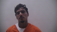 Mugshot of FERNANDEZ ROLANDO