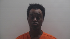 Mugshot of JAMES DEION GEORGE