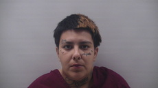 Mugshot of Ibarra Yahaira