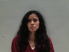 Mugshot of AMPARO FERNANDEZ MARY