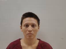 Mugshot of ALVAREZ WENDY GIOVANNA