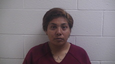 Mugshot of GARCIA SONIA