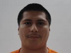 Mugshot of GONZALES ALEX