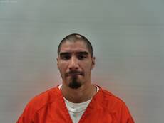 Mugshot of ALMANZA FELIX