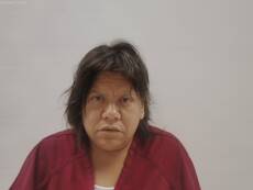 Mugshot of DOMINGUEZ YESENIA