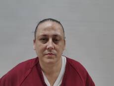 Mugshot of BROWN DANIELS BRANDY ANN