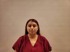 Mugshot of MARTINEZ SALMA DENISSE