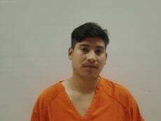 Mugshot of CORTES GOMES ALIS HUMBERTO