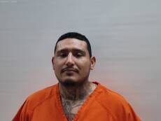 Mugshot of PENA LEE ROY