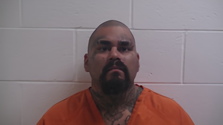 Mugshot of ANZALDUA TOMAS