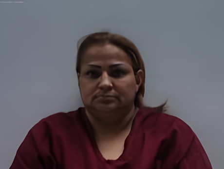 Mugshot of ROCHA LISA MARIE