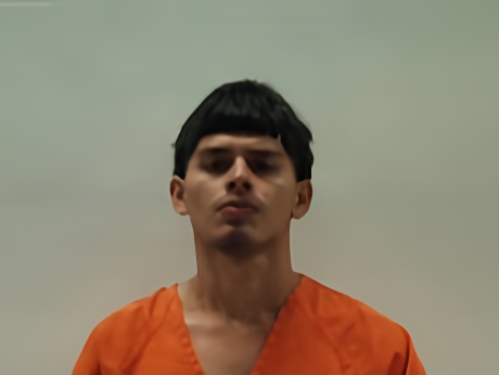 Mugshot of Sosa Brayan Alejandro