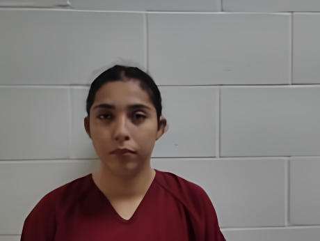 Mugshot of GUTIERREZ GONZALEZ ANILED