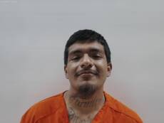 Mugshot of PERALES FERNANDO